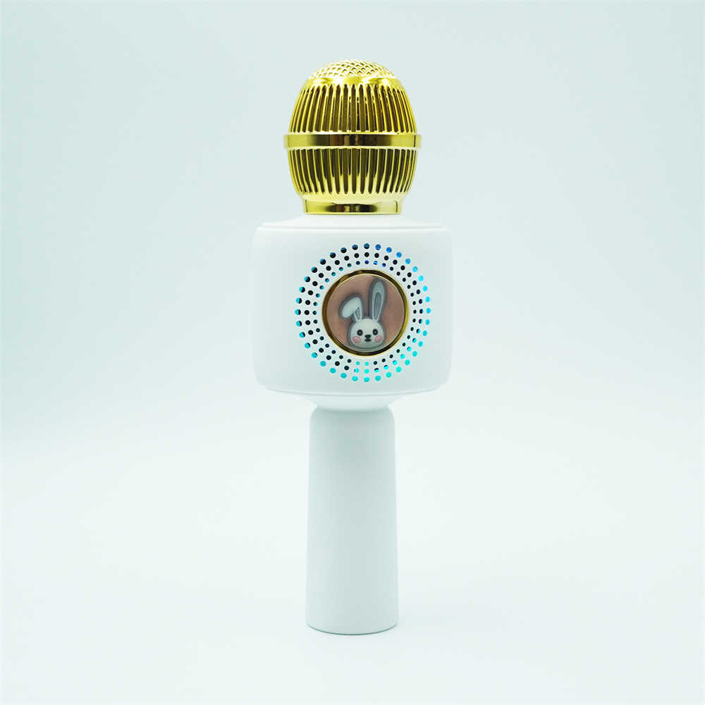 Where to buy portable videoke player karaoke speaker with recording and karaoke speaker system china supplier