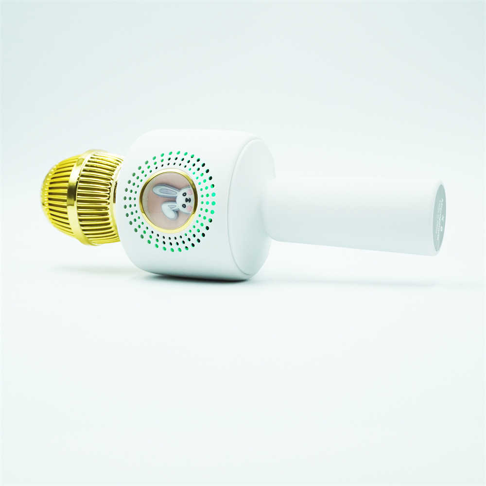 Where to buy portable videoke player karaoke speaker with recording and karaoke speaker system china supplier