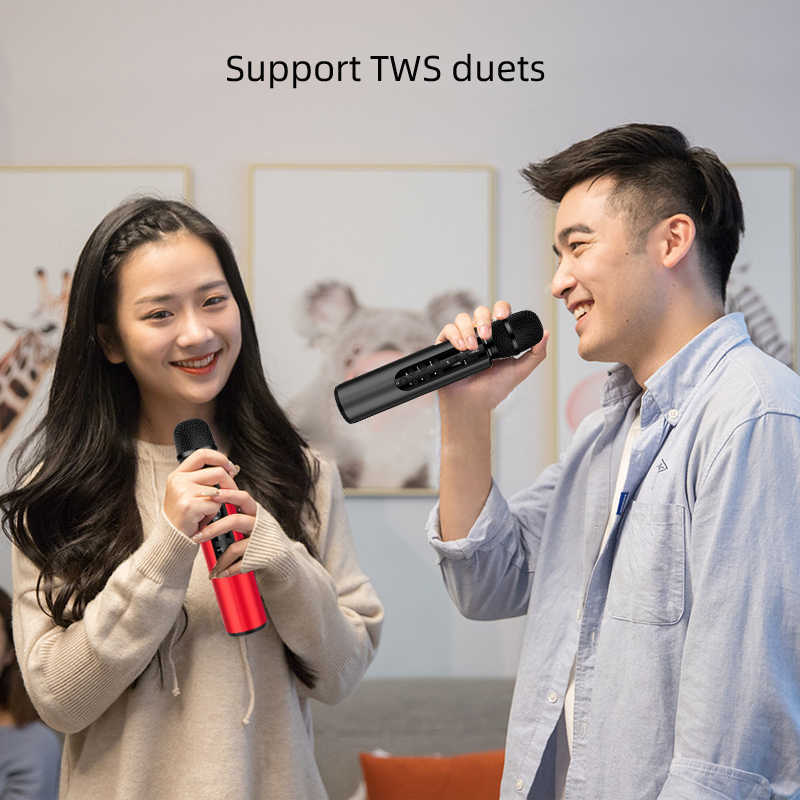 where to buy karaoke equipment karaoke speakers and portable mic China supplier