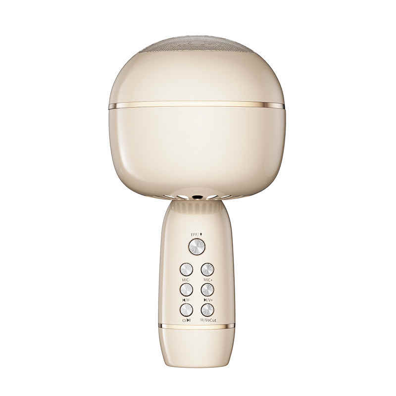 where to buy karaoke speaker karaoke speaker with mic and karaoke speaker system china supplier