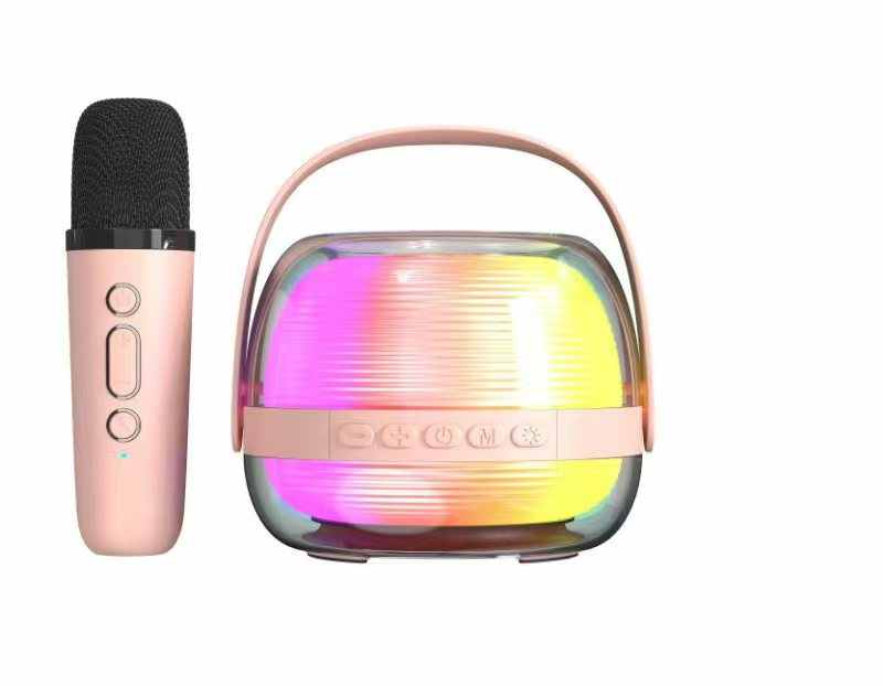 where to buy karaoke speaker system karaoke Bluetooth speaker and portable karaoke speaker china supplier