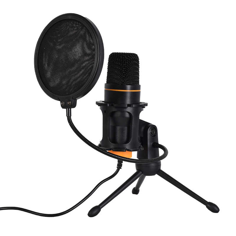 where to buy portable mic and speaker usb c wireless microphone and professional wireless mic china supplier