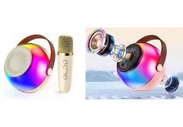 Karaoke Microphone Market Analysis: What’s Driving Sales in 2025?