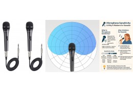 Microphone Sensitivity & Why It Matters for Karaoke